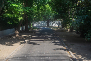 Blur park with sun light background