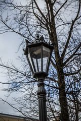 Fototapeta na wymiar wrought iron street lighting