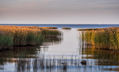 Natural lake at sunset