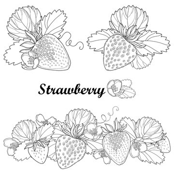 Set with outline Strawberry, bunch, berry, flower and ornate leaf in black isolated on white background. 