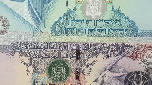 UAE dirham notes rotating. Emirates currency, money. 4K stock video footage
