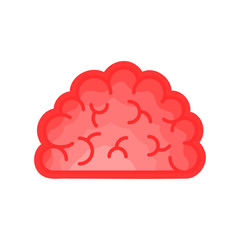 human brain anatomy icon. flat cartoon style. bright and cute. Isolated on white background. vector illustration.