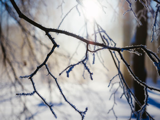 barbed wire on background of blue sky