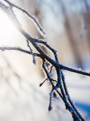 barbed wire on background of blue sky
