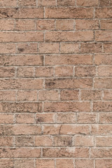 Texture  wall from new bricks of brown color.