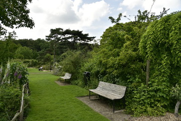Bancs le long des arbustes au jardin Botanique du domaine provincial de Vrijbroekpark à Malines