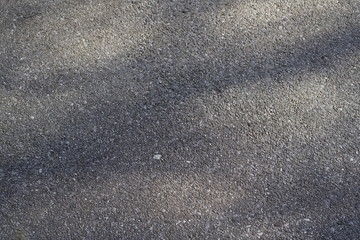 Blumen im Frühling in der Sonne