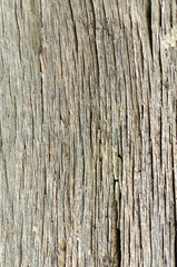 Old Dry Vertical Wood Grain Background