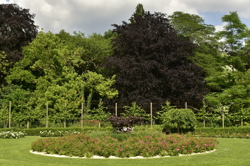 Parterre circulaire de roses rouges à la roseraie devant l'arboretum du domaine provincial de Vrijbroekpark à Malines