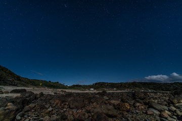 爪木崎　月夜の水仙