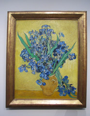 Irises oil painting. Vincent van Gogh. 