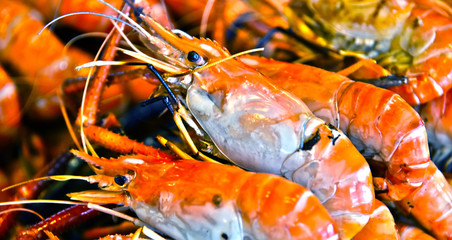 Prawn food in the street restaurant in Thailand