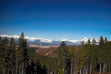 The spring with the background of the High Tatra peak - Krivan. Beautiful Slovakia.