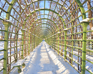 Alley in Summer Garden at winter in St.Petersburg.