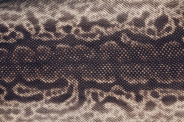 Elephant trunk snake skin texture