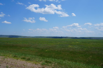 green field and blue sky
