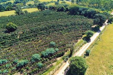 Beautiful countryside aerial view. Agribusiness, livestock, pasture, cattle. Great landscape. Rural scenery. Agriculcure scene. Farm scenery. Field scene. Countryside scenery.