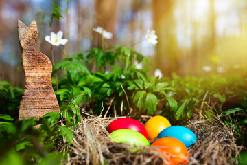 Easter eggs in a forest