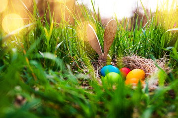 Easter eggs in a spring meadow