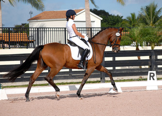 A woman wearing white completing a dressage test on a bay horse with beautiful movements