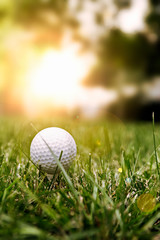 Golf ball on a green meadow