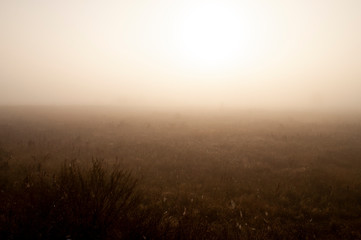 Early morning in the field with autumn fog and drops of water in the air. Tints of brown. Nothing could be seeing far away. Beautiful mistery landscape