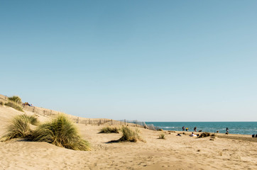 Dunes de la plage de l'Espiguette