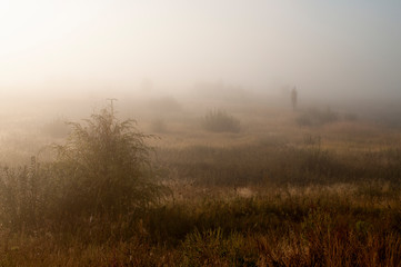 Fototapeta na wymiar Early morning in the field with autumn fog and drops of water in the air. Tints of brown. Nothing could be seeing far away. Beautiful mistery landscape