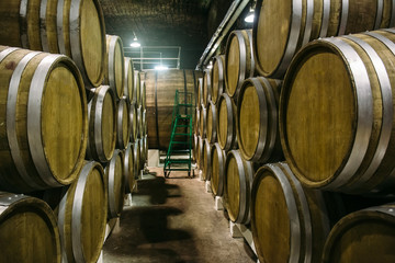 Underground wine cellar with rows of old big wooden barrels in winery
