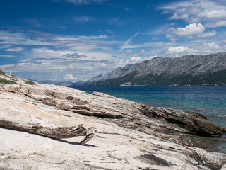 Stone shore and tree branch, Hvar island, Croatia