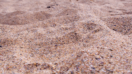 Course sand on a sunny atlantic beach, close up (shallow depth of focus)