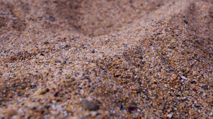 Course sand on a sunny atlantic beach, close up (shallow depth of focus)