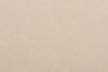 Light beige paper background. Textured sheet from an old book. Copy space for your text.