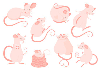 Obraz na płótnie Canvas Set of pink ratson on the white background