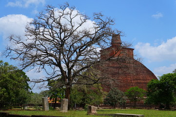 old church in the park