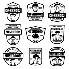 Set of mushroom hunting emblems. Design element for poster, logo, label, sign.