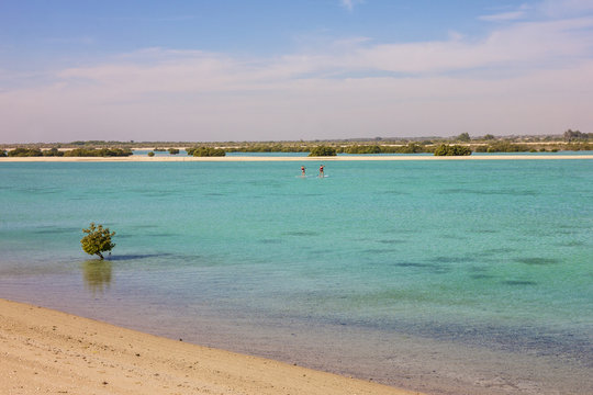 Sir Bani Yas Island, Abu Dhabi, UAE.