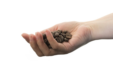 Heap of coffee beans in the palm on a white background