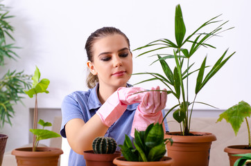 Young female gardener with plants indoors 