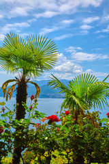 Fototapeta na wymiar Nice view of a park on Lake Como