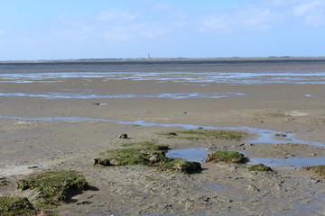 Hilgenriedersiel, Wadden Sea Germany: View into the sea at low tide