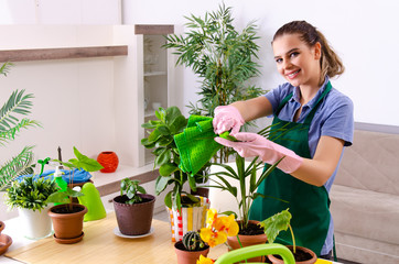 Young female gardener with plants indoors 