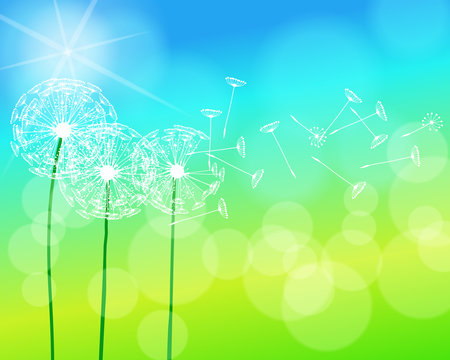 Soft focus green spring illustration with dandelions