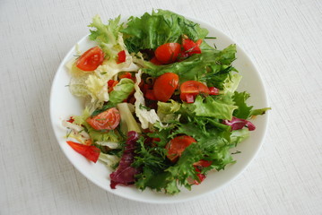 a fresh vegetable salad . It consists of tomatoes, red pepper, and three kinds of lettuce leaves. sprinkled with olive oil.