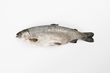 Rainbow trout gutted.Peeled fish on a white background