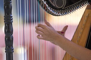 female fingers playing the harp