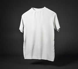 Empty white t-shirt