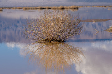 Fototapeta na wymiar A dried lake bed in Death Valley California reflects itself into the rare occurrence of water. 