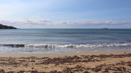 Beach day