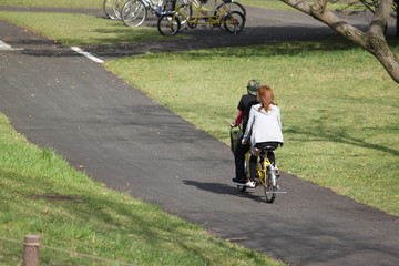 In the sunny morning in a park, romantic calsal strolling, leisurely, on a two-seater bike.